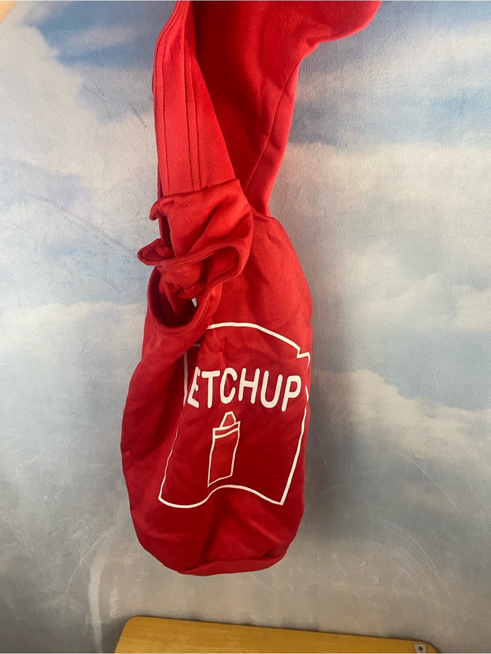 Red Ketchup Graphic Dog Costume Medium